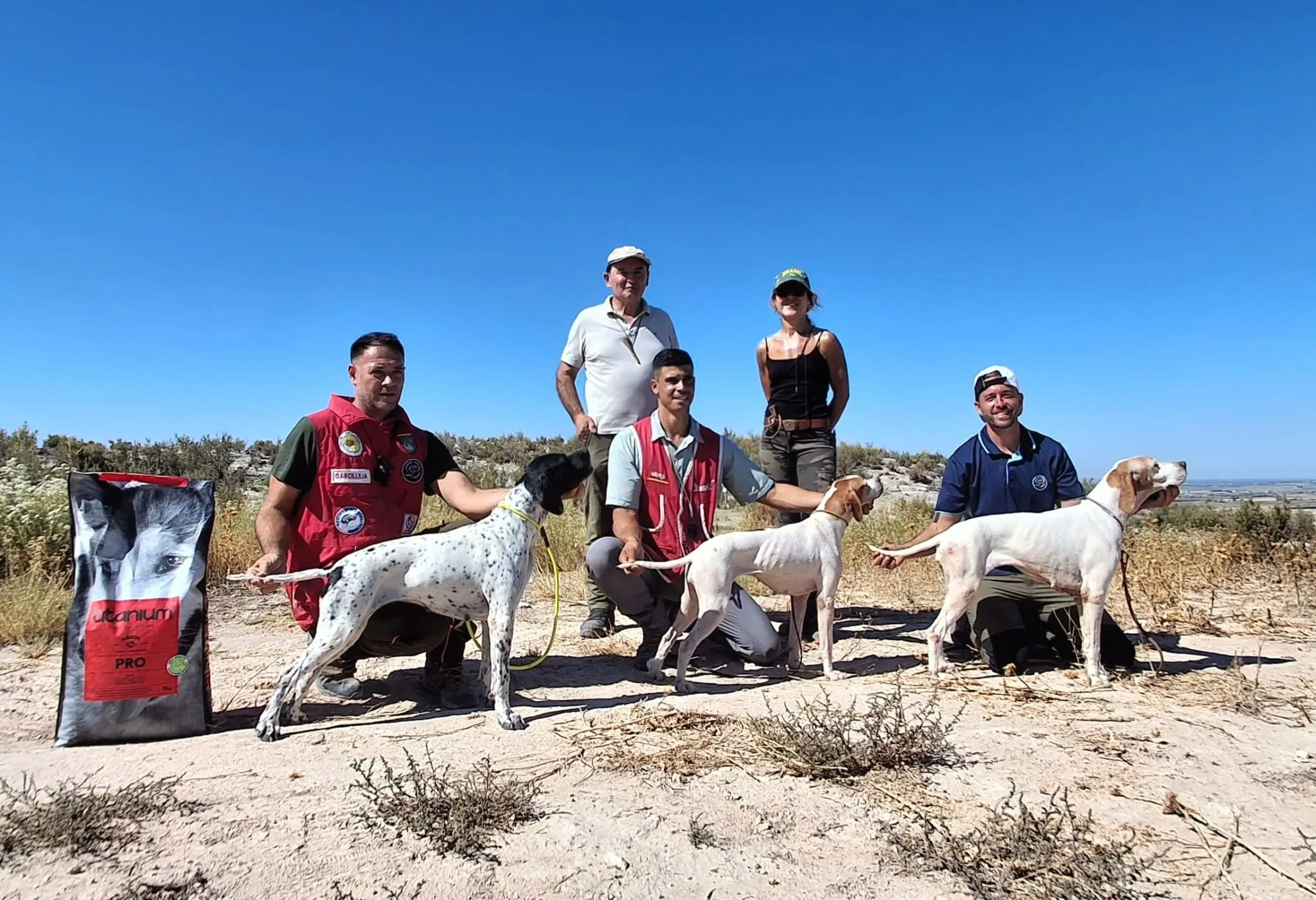 Blog image